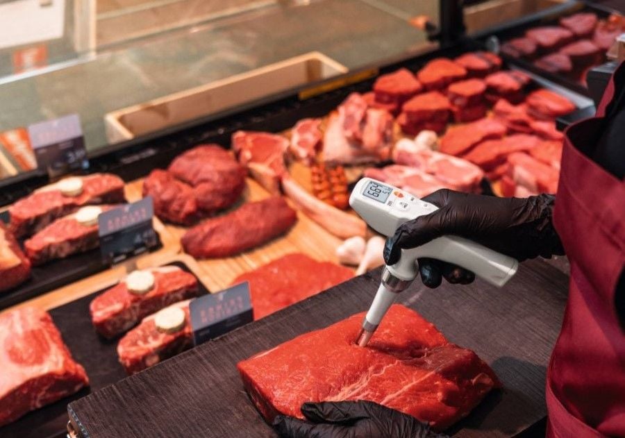 Testo 205 Et PH Metresi