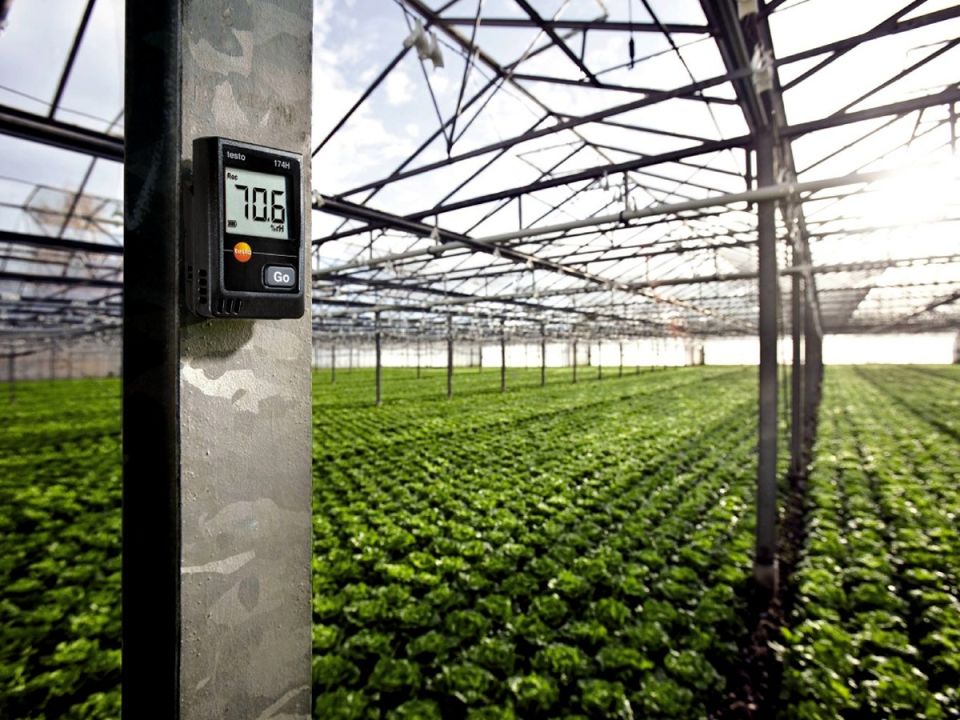 Testo 174H Sıcaklık Ve Nem Kaydedici (Datalogger)