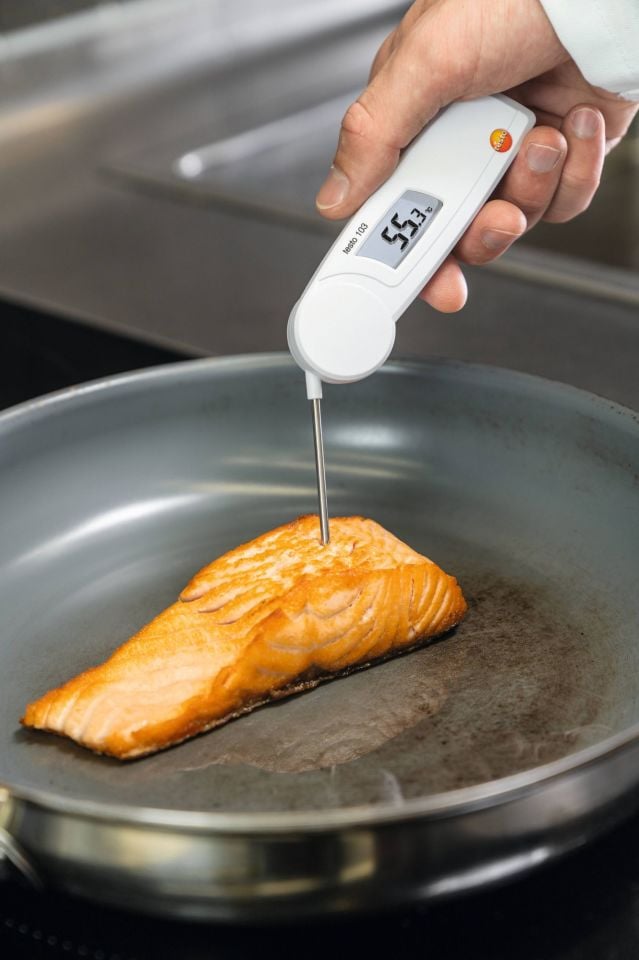 Testo 103 Daldırma/Batırma Tipi Termometre